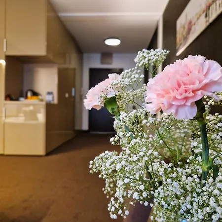 Lägenhetshotell Platinum